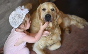 CBD für Haustiere - Kind mit Hund